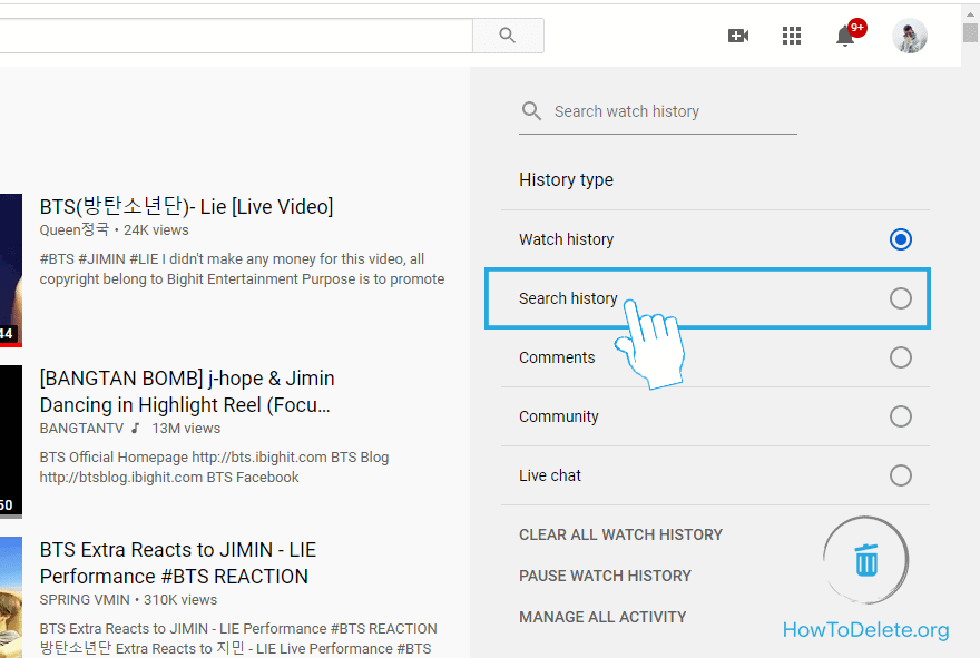 Haga clic en Historial de búsqueda
