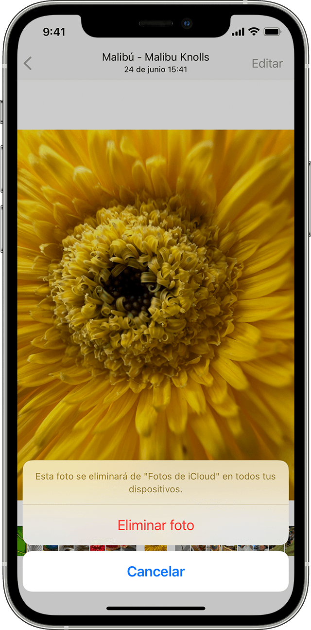 Eliminar fotos del iPhone: borre una sola imagen o todas las fotos del iPhone